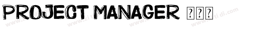Project Manager字体转换